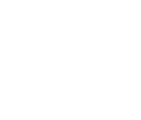 logo VNF